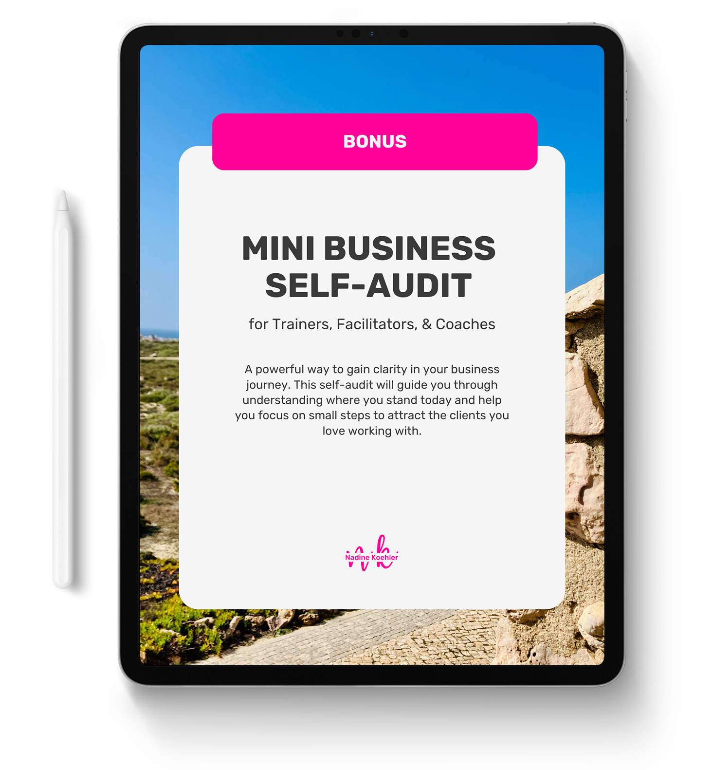 Mini Business Audit for Self-emploed Facilitators, Trainers & Coaches